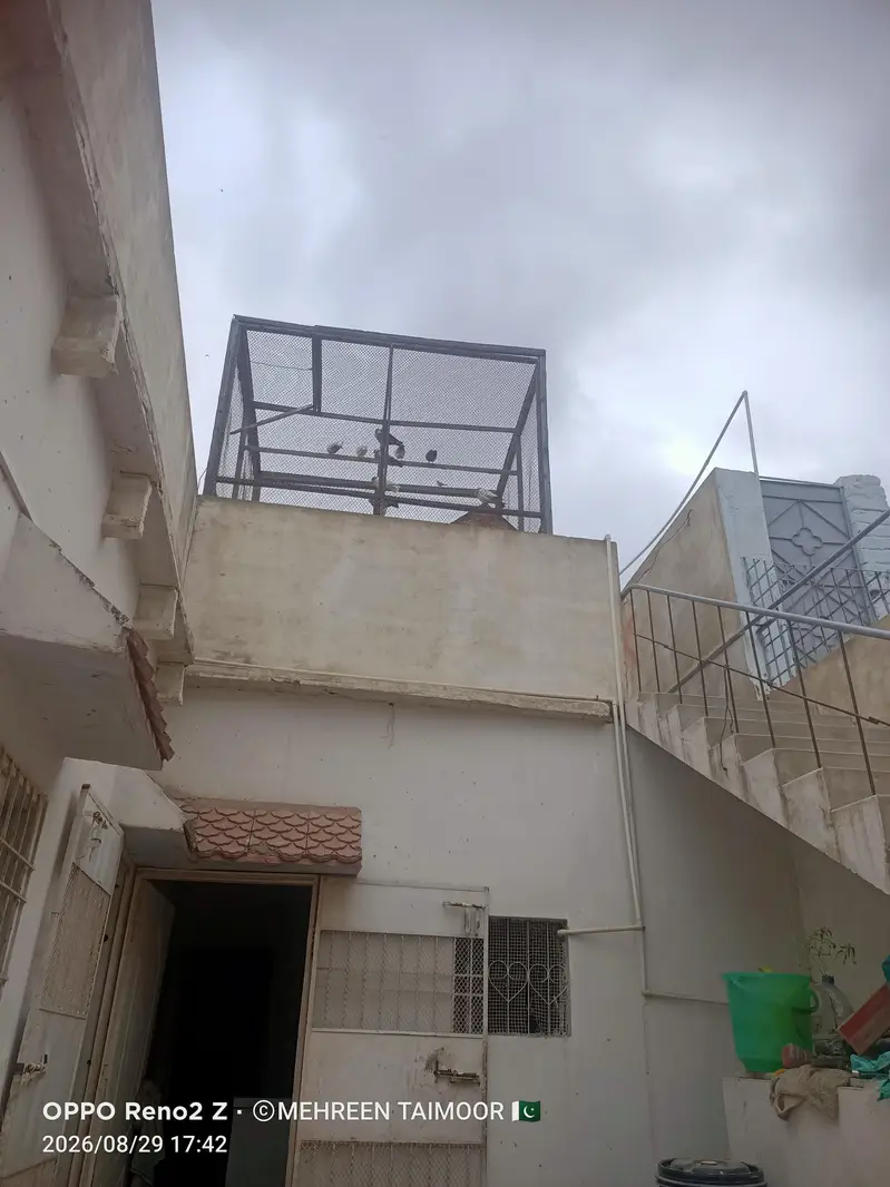 pinjhra for sale — photo 2