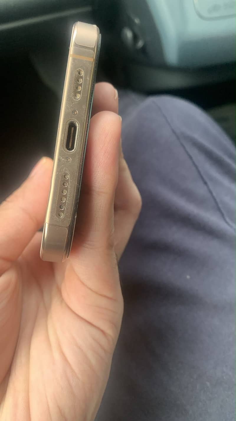 Apple iPhone 16 Pro Max 3