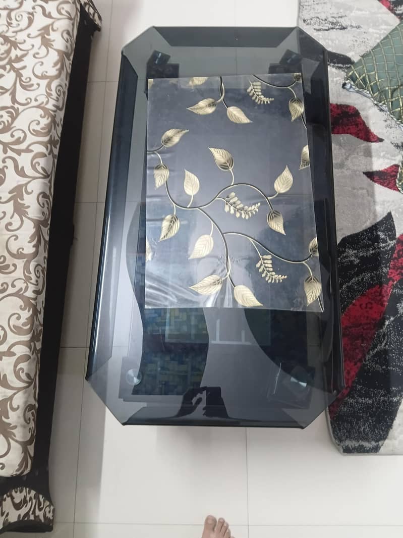 seater sofa,deewan,glass table 7