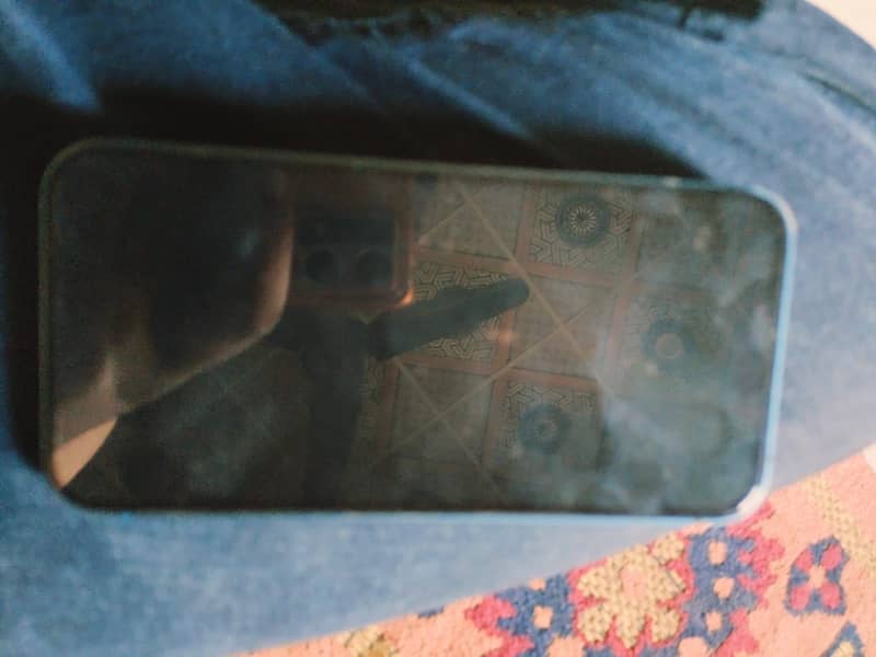 Apple iPhone 13 0
