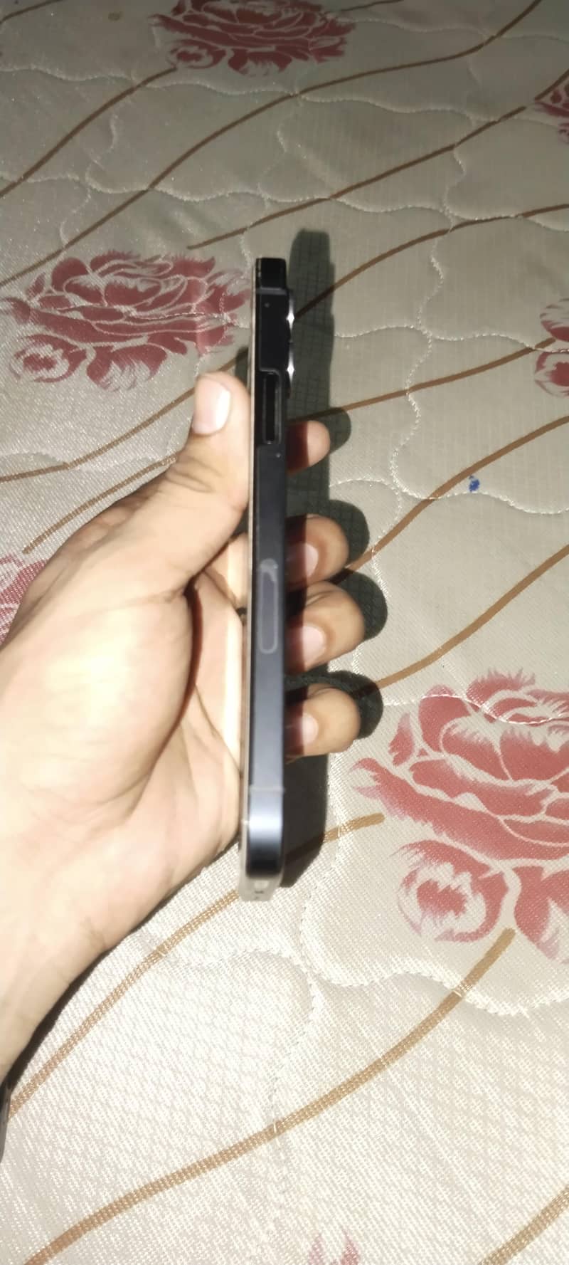 Apple iPhone 12 1
