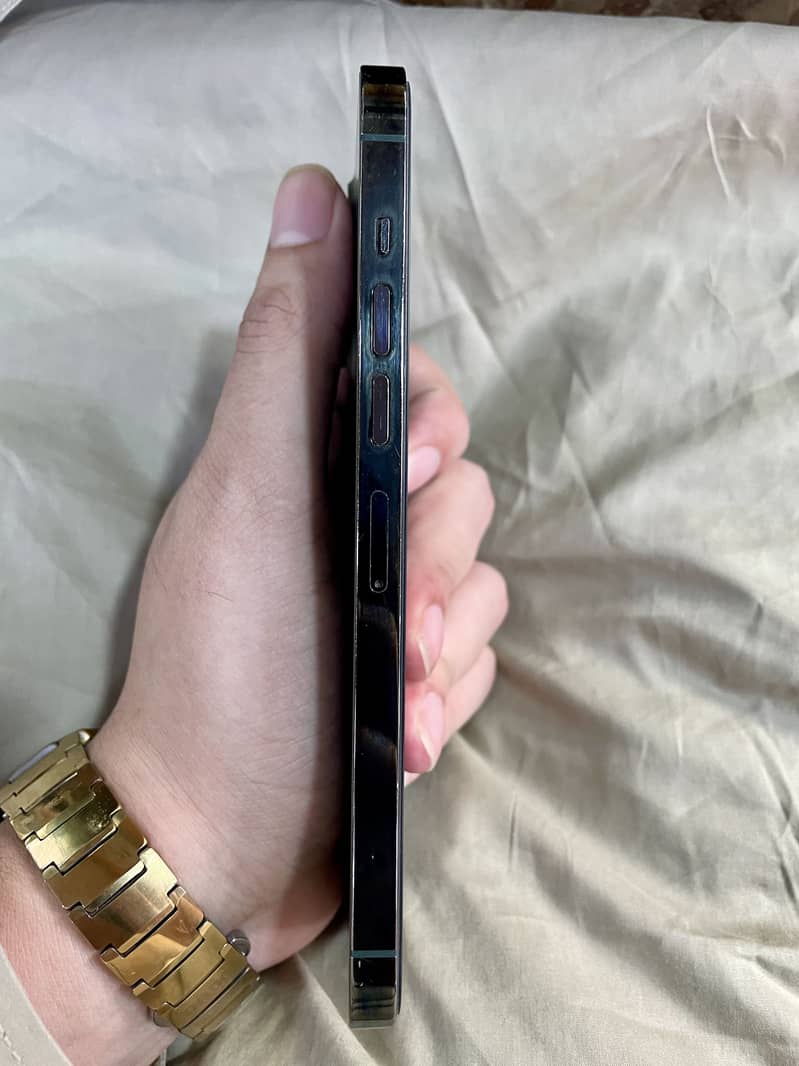 Apple iPhone 13 Pro Max 2