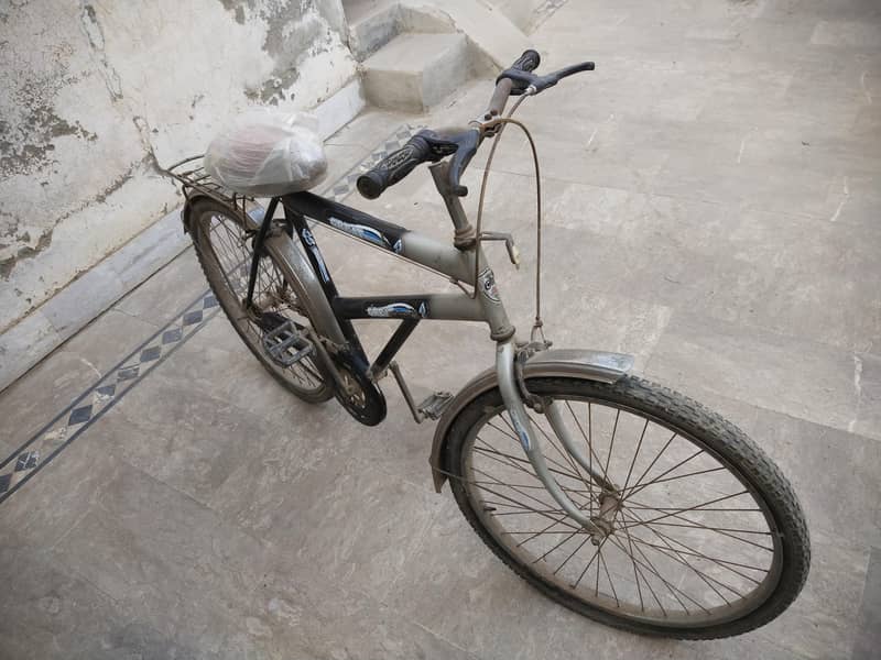 mountain bicycle 1