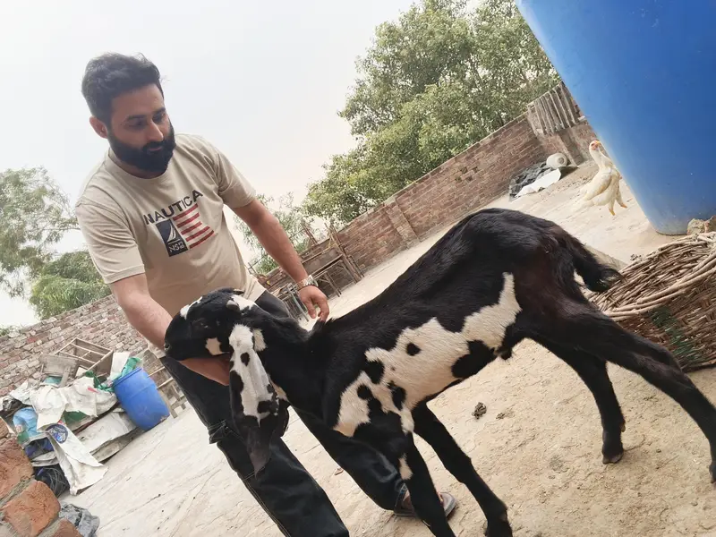 bakri — photo 5