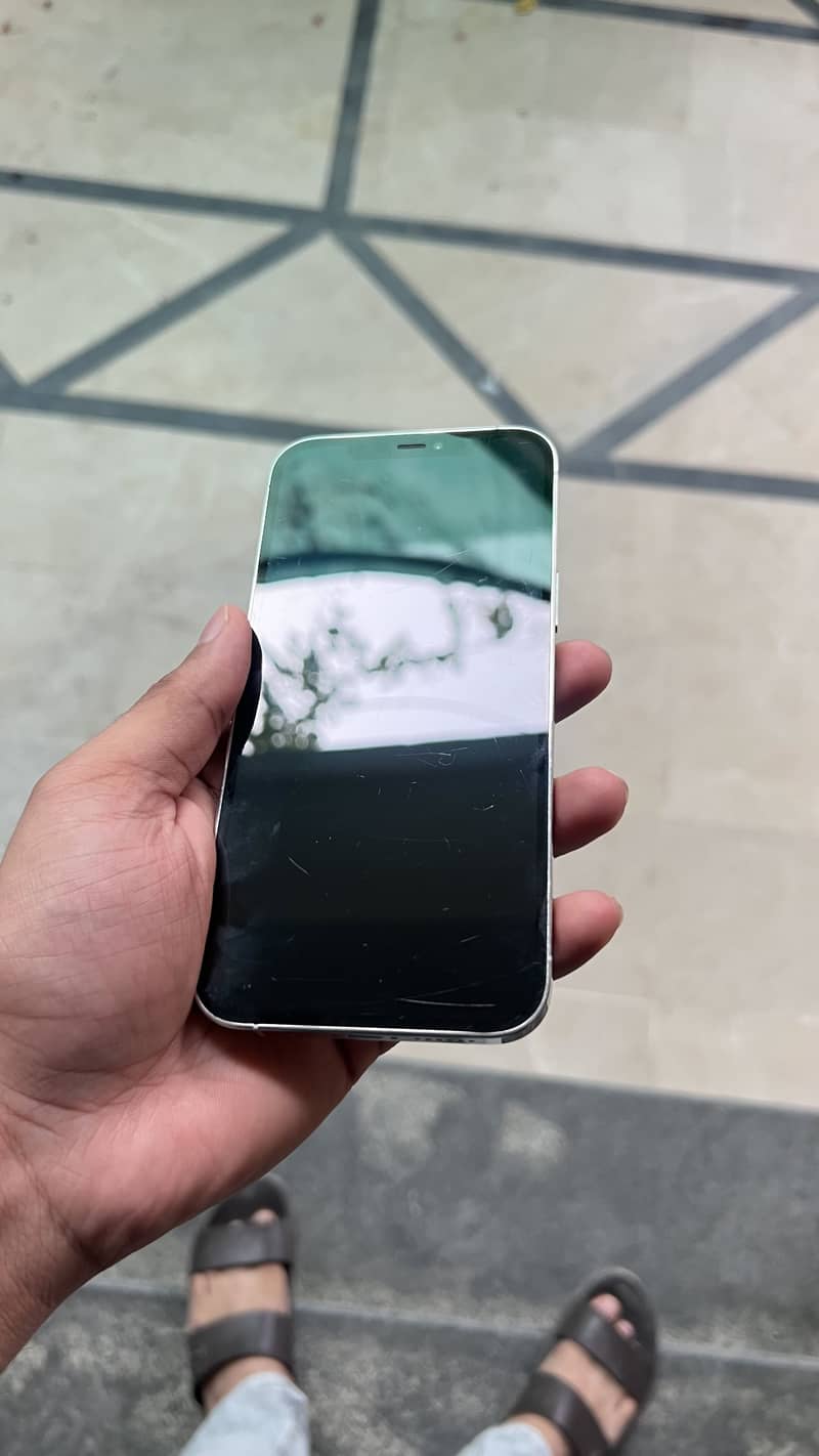 Apple iPhone 12 Pro Max 1