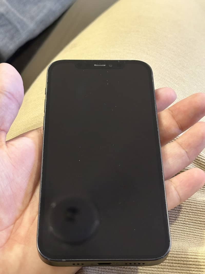 Apple iPhone 12 1