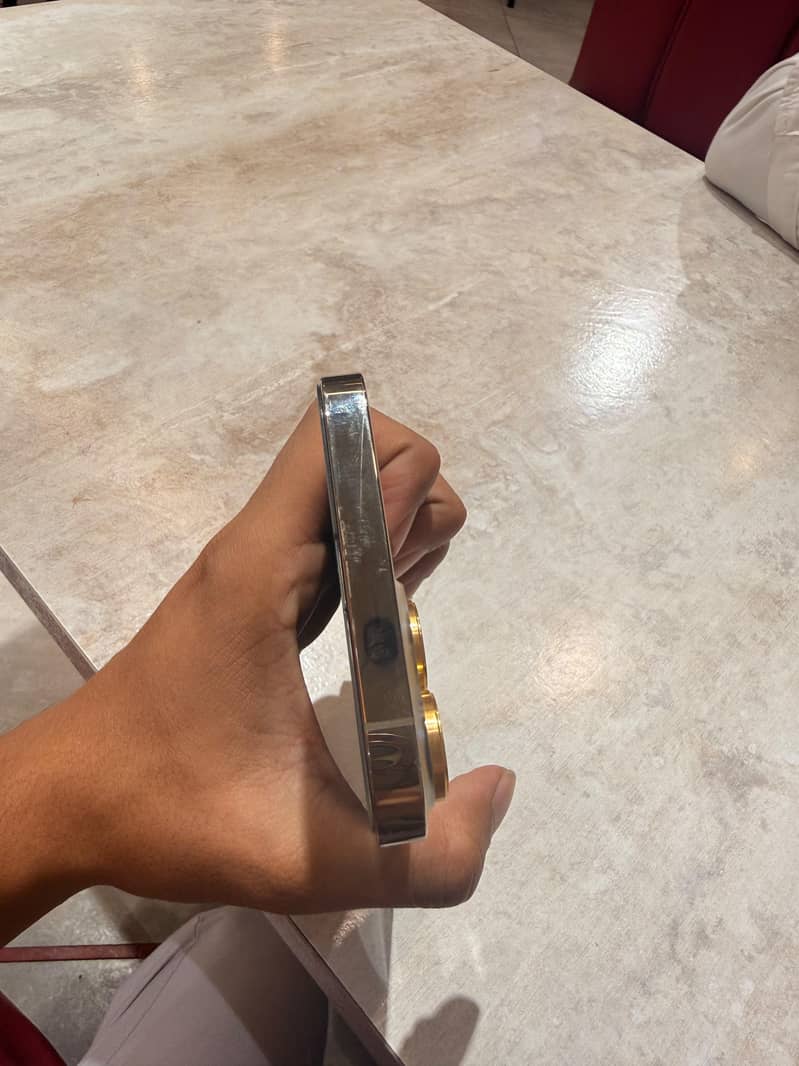 Apple iPhone 13 Pro Max 1