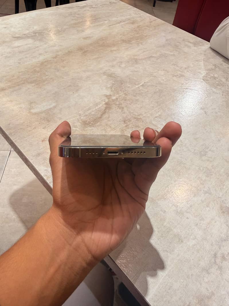Apple iPhone 13 Pro Max 2