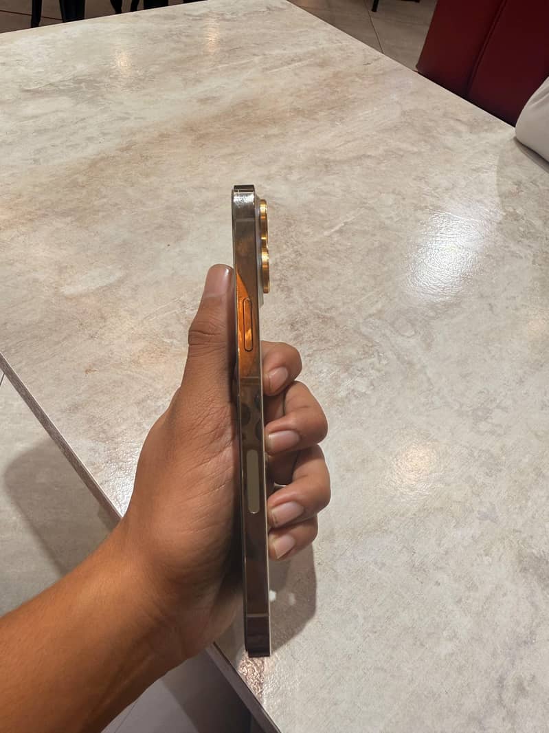 Apple iPhone 13 Pro Max 3