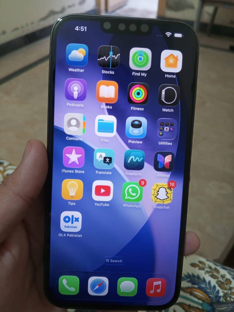 Apple iPhone 13 Pro Max 1