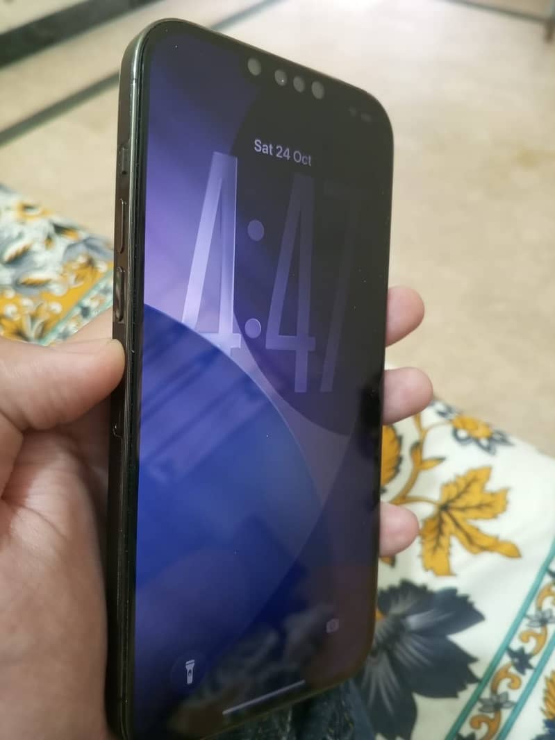 Apple iPhone 13 Pro Max 8