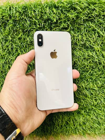 Apple iPhone X