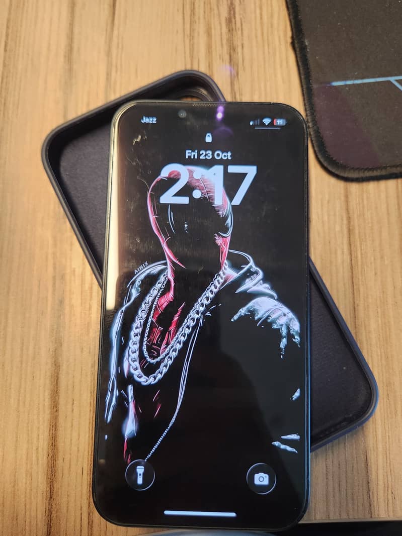 Apple iPhone 13 0