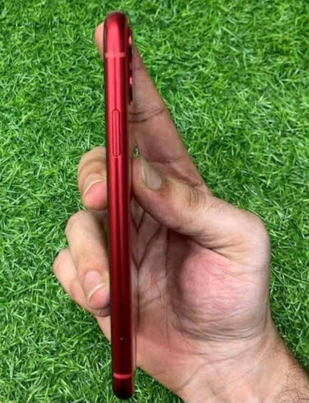 Apple iPhone 11 3
