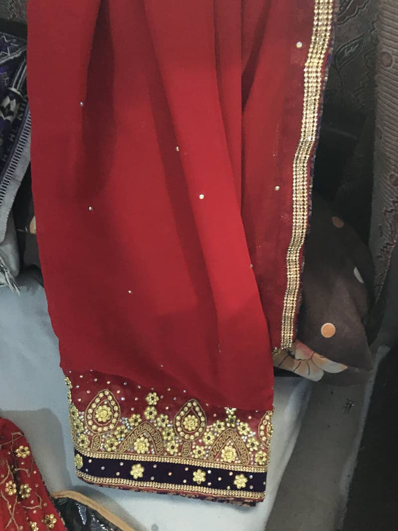 Dhulan Maxi 10
