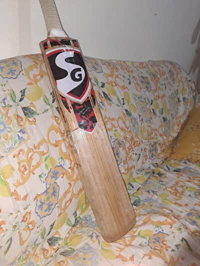 cricket bat