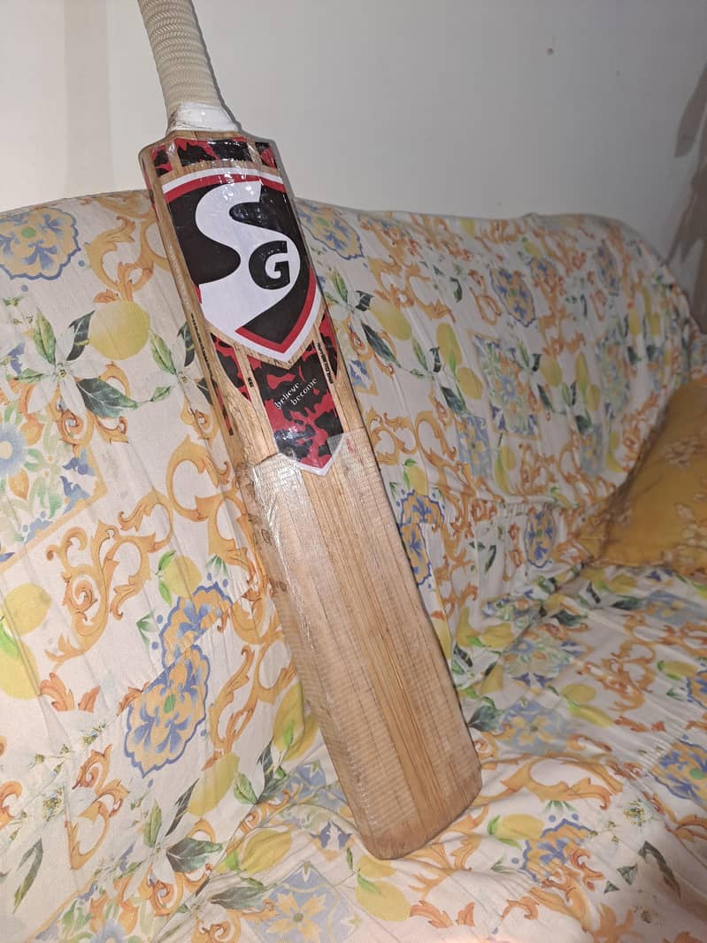 cricket bat 0