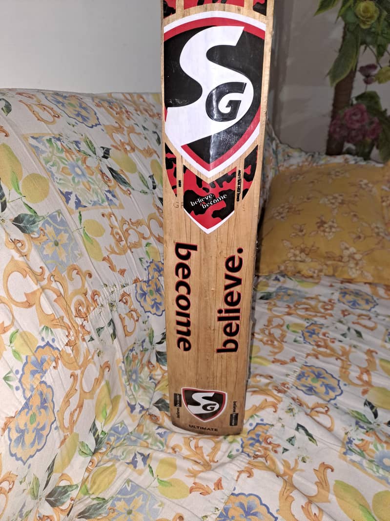 cricket bat 1