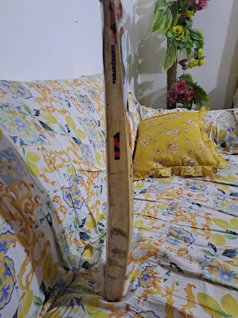 cricket bat 2