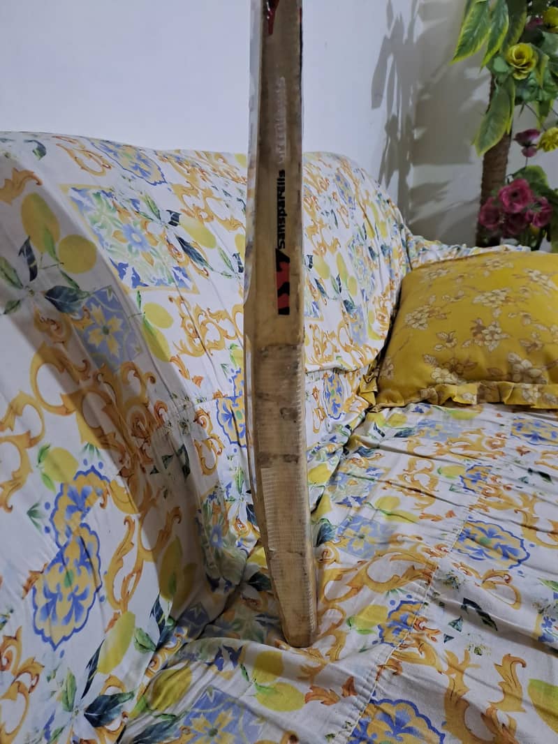 cricket bat 3