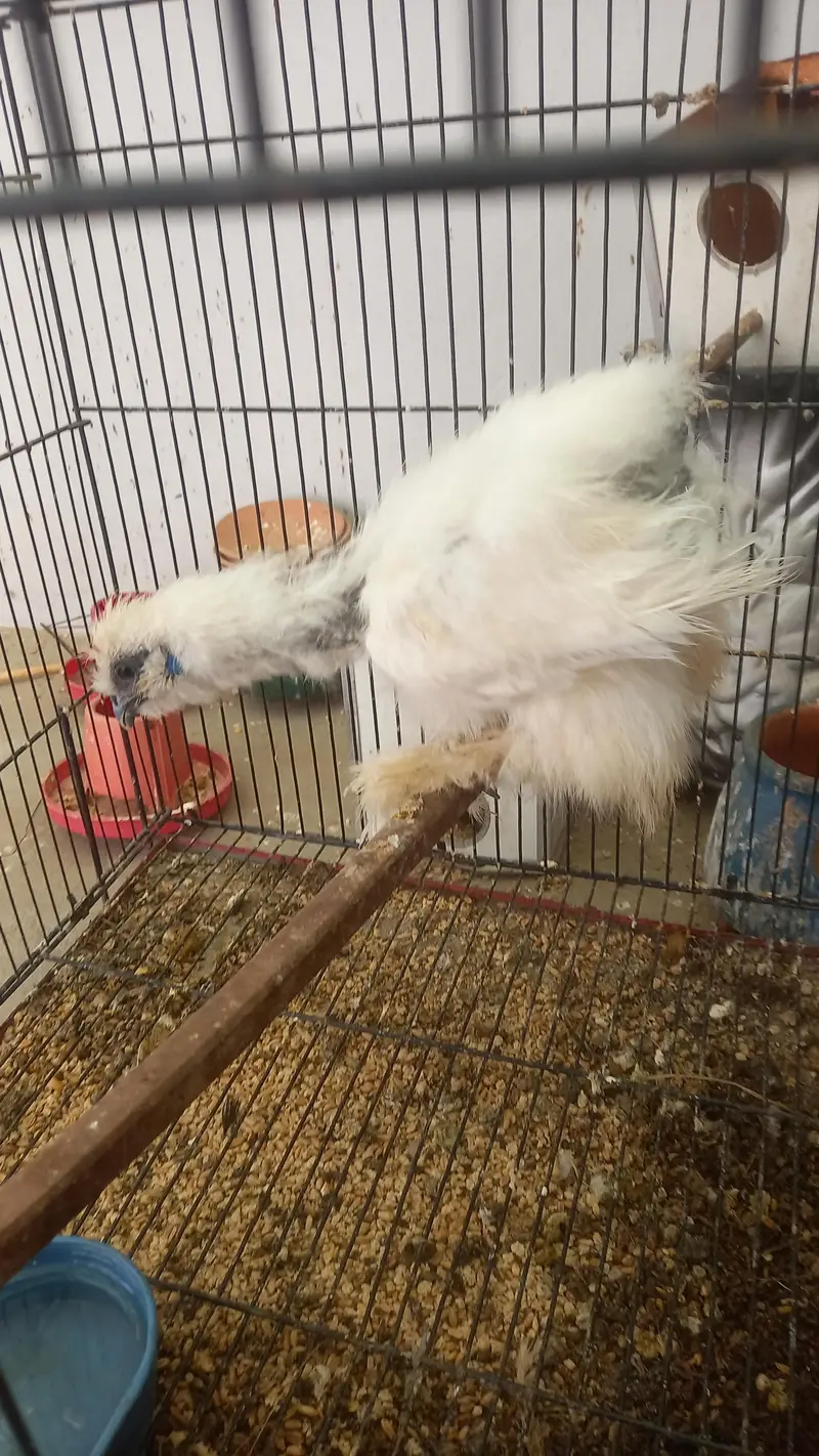 one female — photo 2