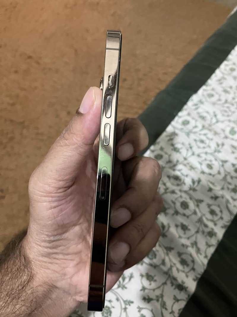Apple iPhone 13 Pro 1