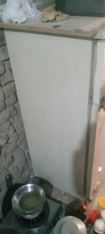 Philips refgter  medium size