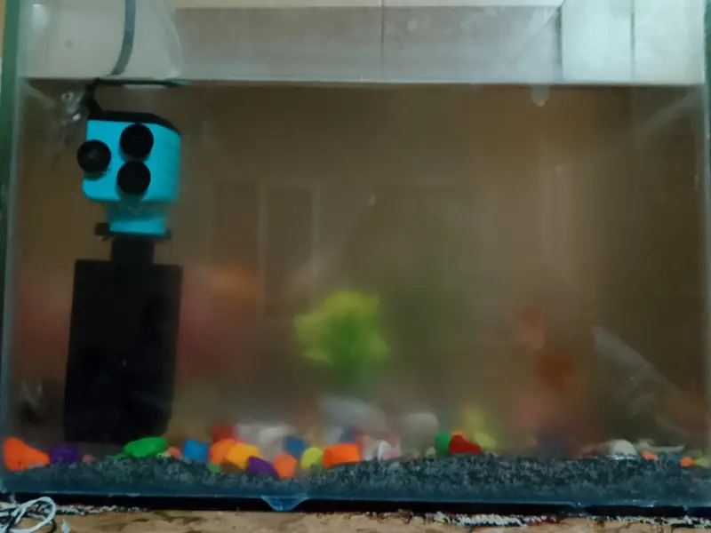 fishes with fountain — photo 2