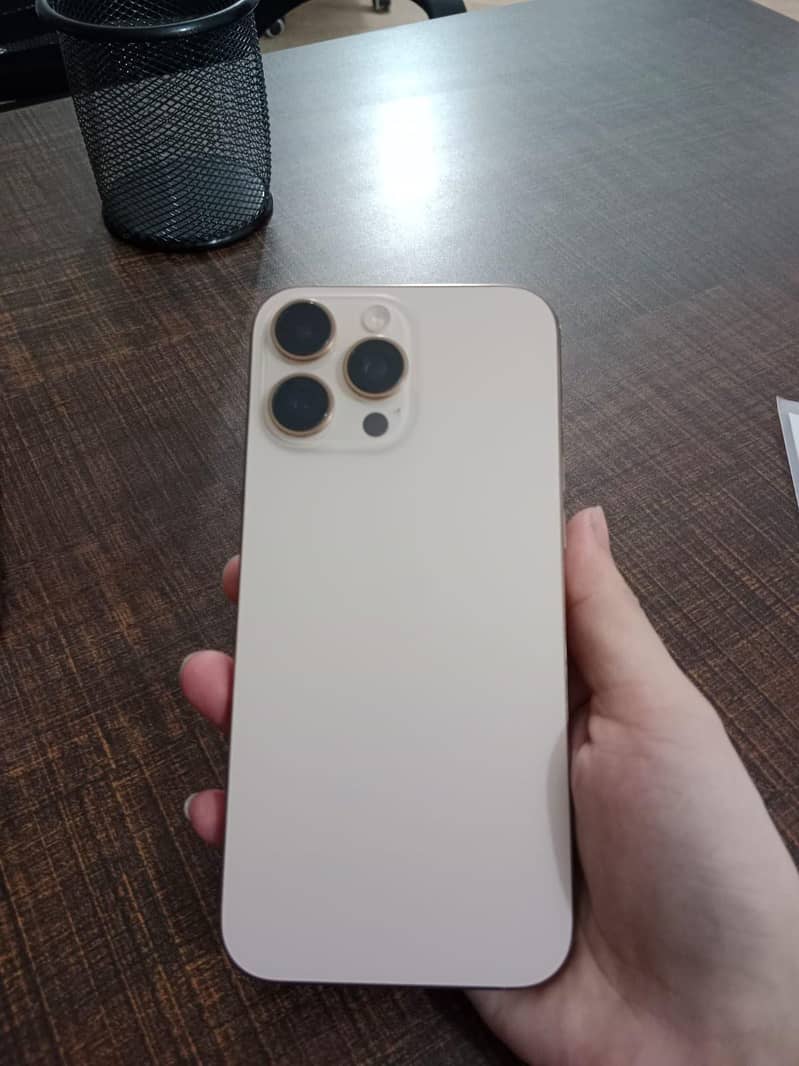 Apple iPhone 16 Pro Max 1