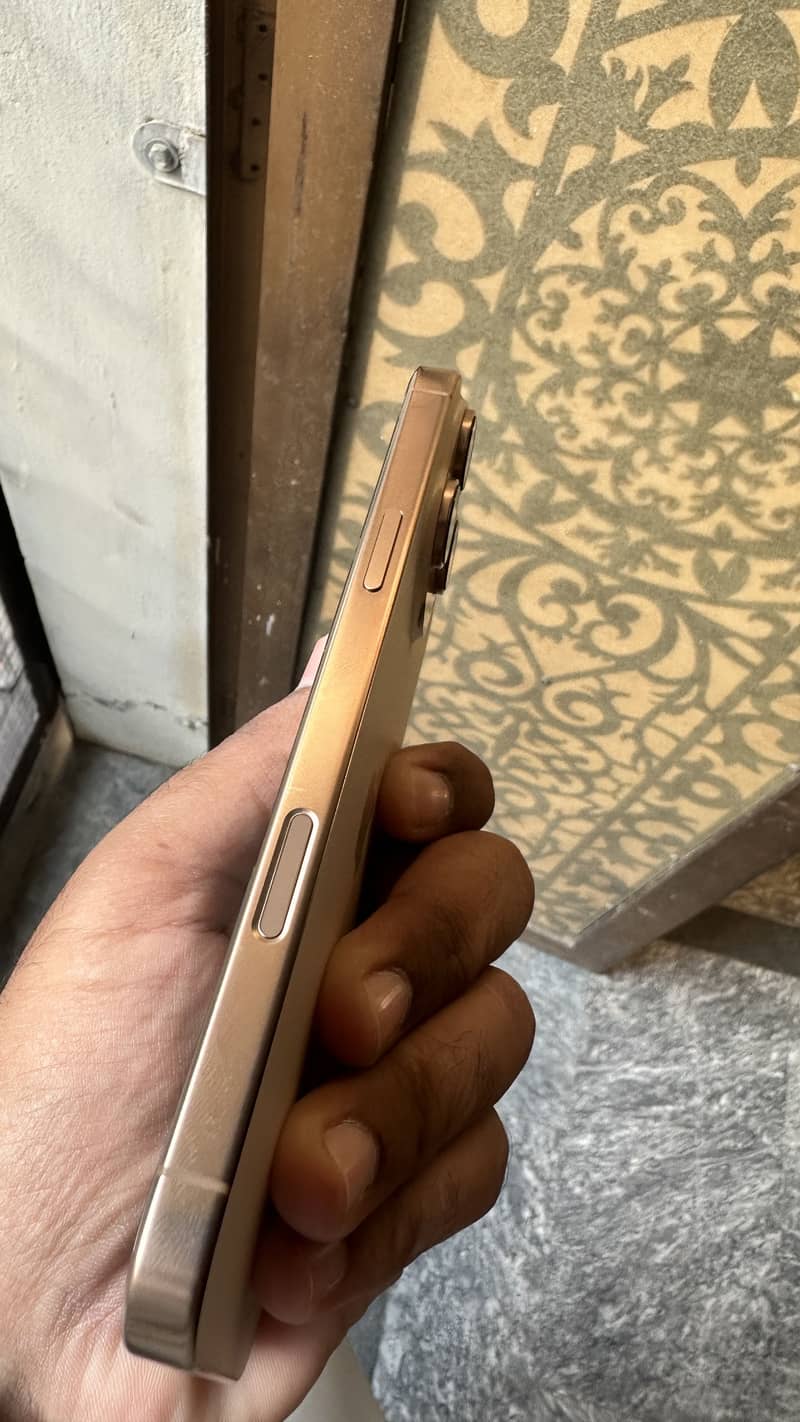 Apple iPhone 16 Pro Max 1