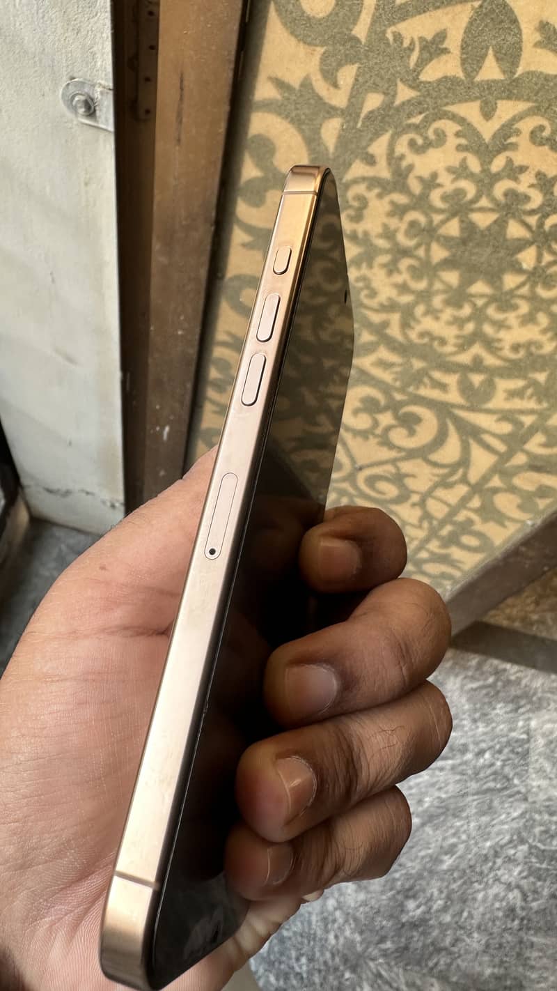 Apple iPhone 16 Pro Max 3