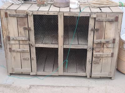 4 cage hen