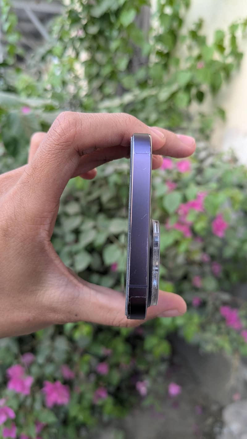 Apple iPhone 14 Pro Max 6