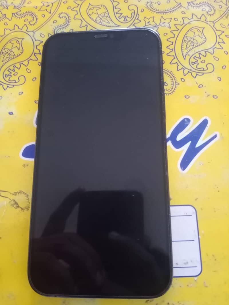 Apple iPhone 12 Pro Max 1