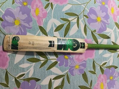GM Kashmir willow bat with hammer.