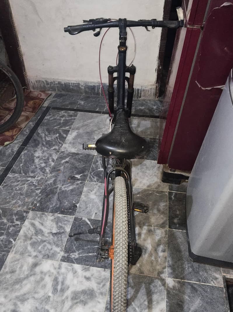important  bicycle 2