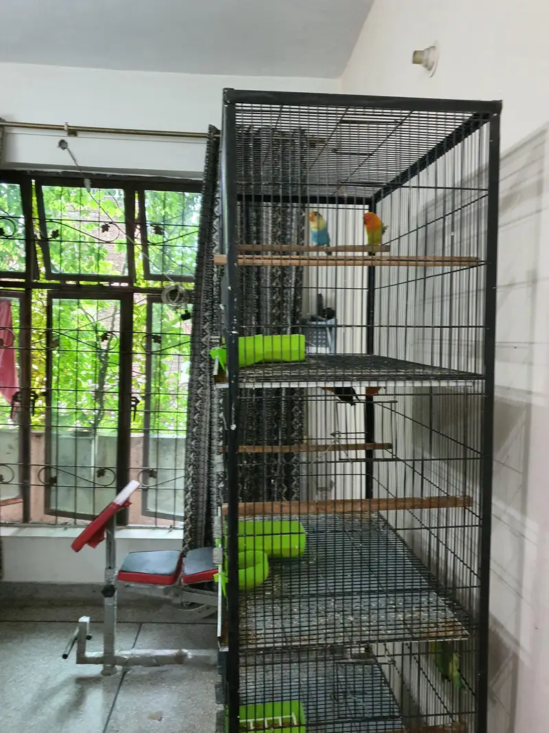 Parrots Cage 4 Portion Full Angle with tyres, weights and pots — photo 4