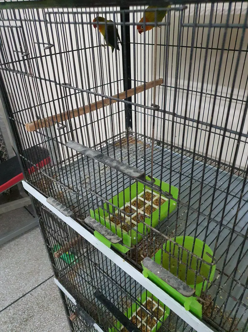 Parrots Cage 4 Portion Full Angle with tyres, weights and pots — photo 5