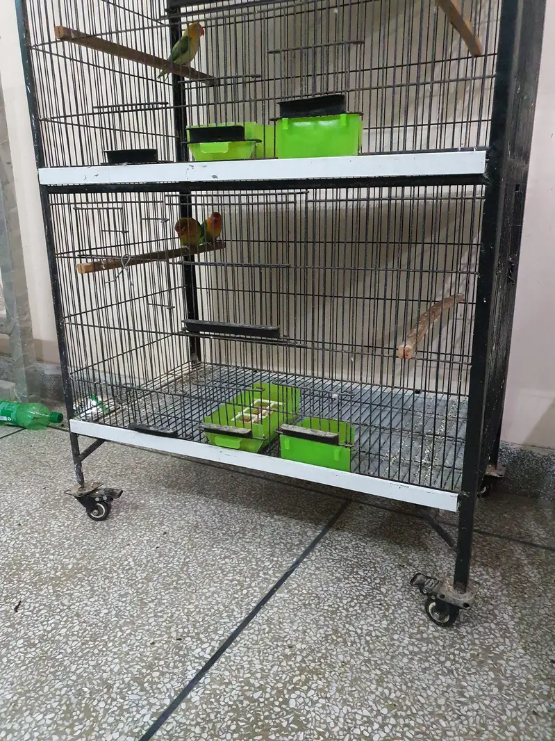 Parrots Cage 4 Portion Full Angle with tyres, weights and pots — photo 6