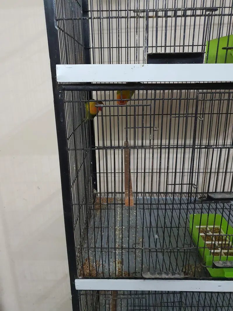Parrots Cage 4 Portion Full Angle with tyres, weights and pots — photo 7