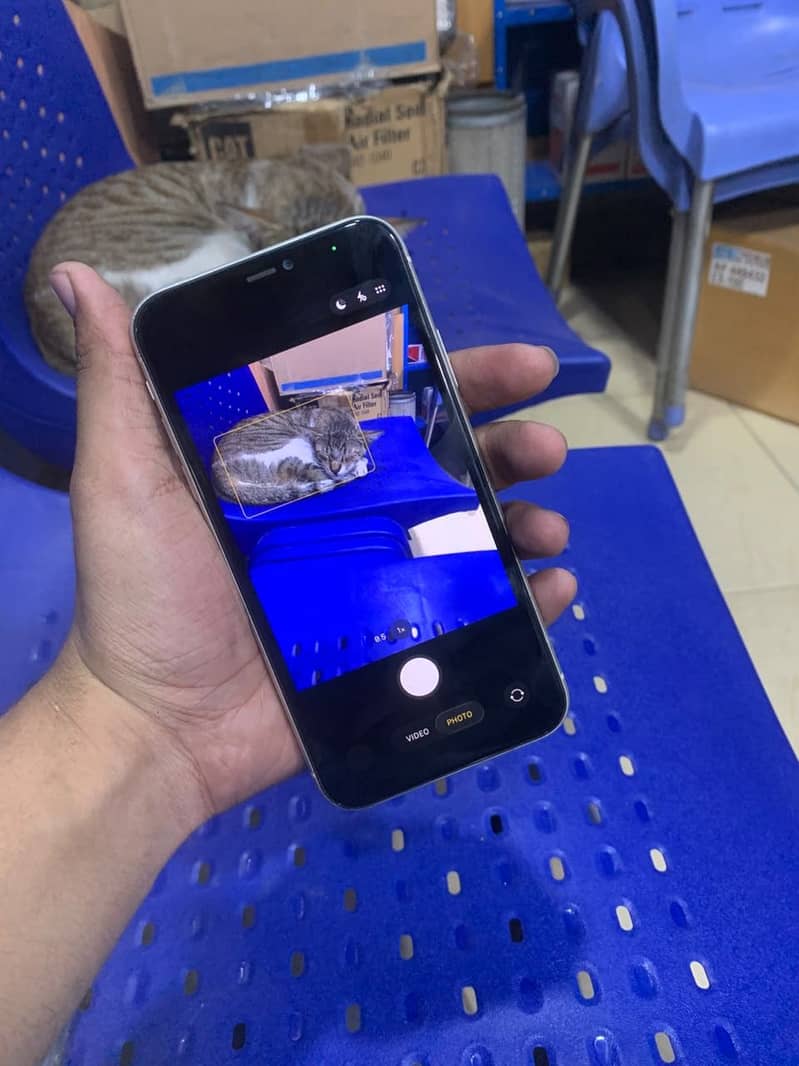 Apple iPhone 11 1