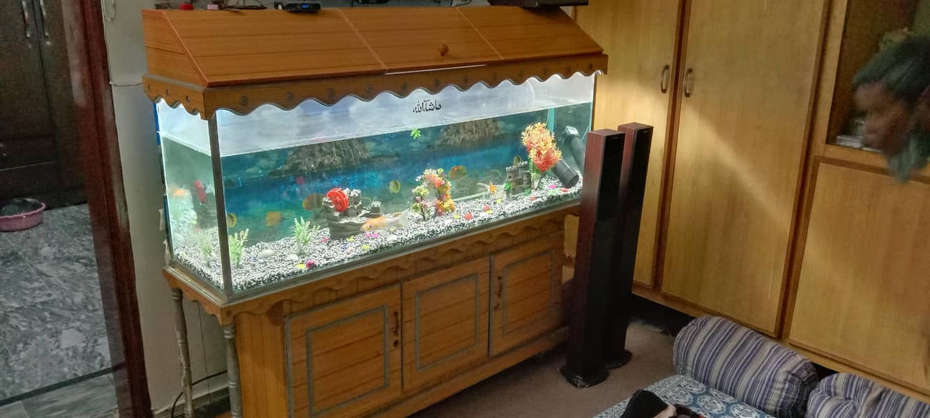 Aquarium 0