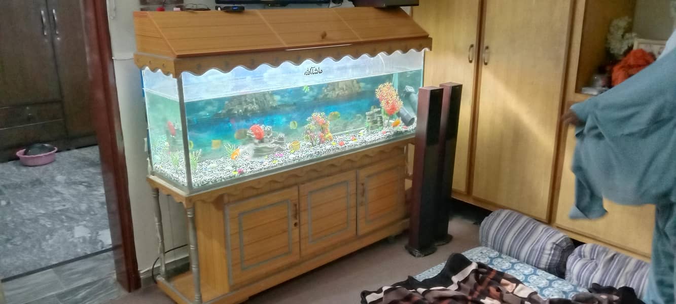 Aquarium 1