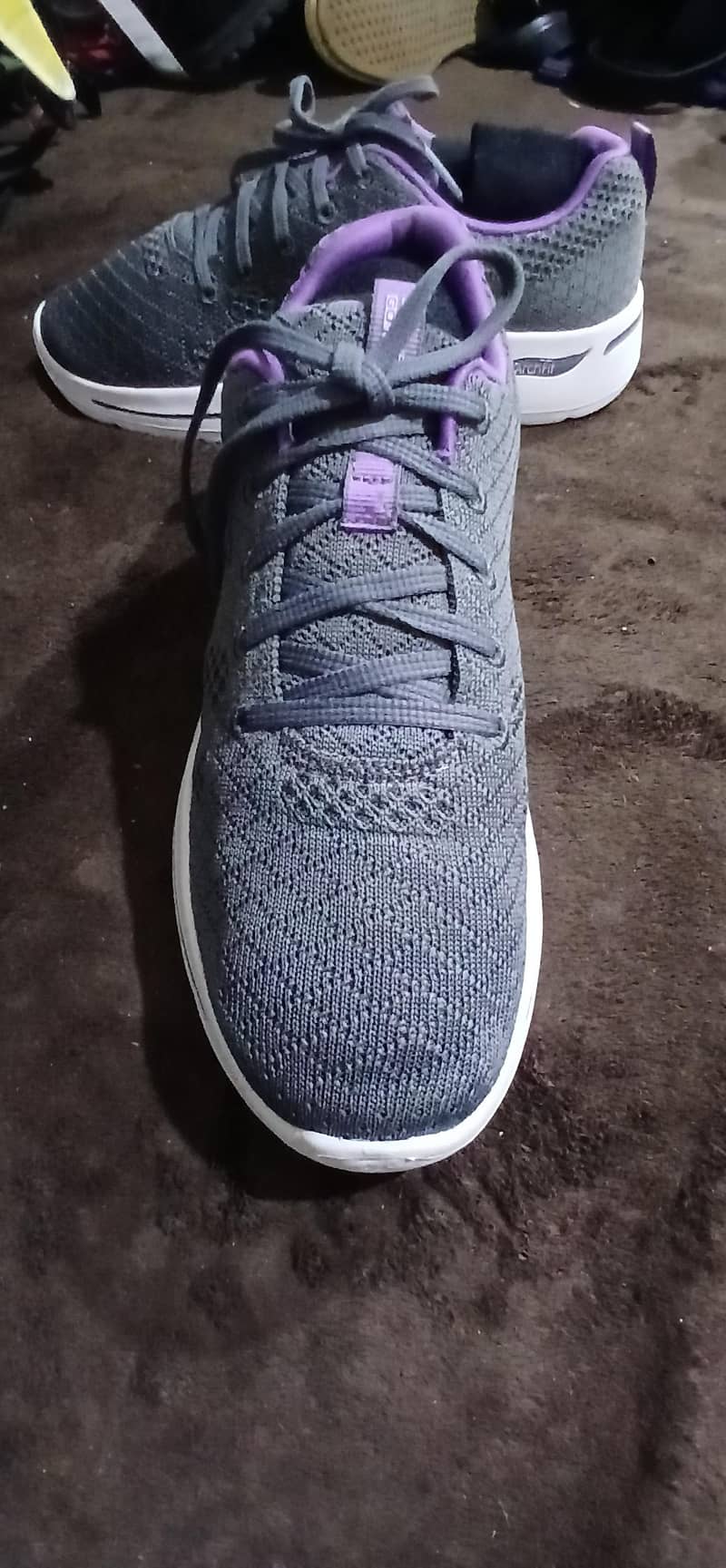 Gowalk 1