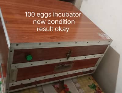incubator 100 eggs available 10 by 10
