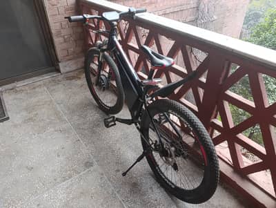 Magnus E bike