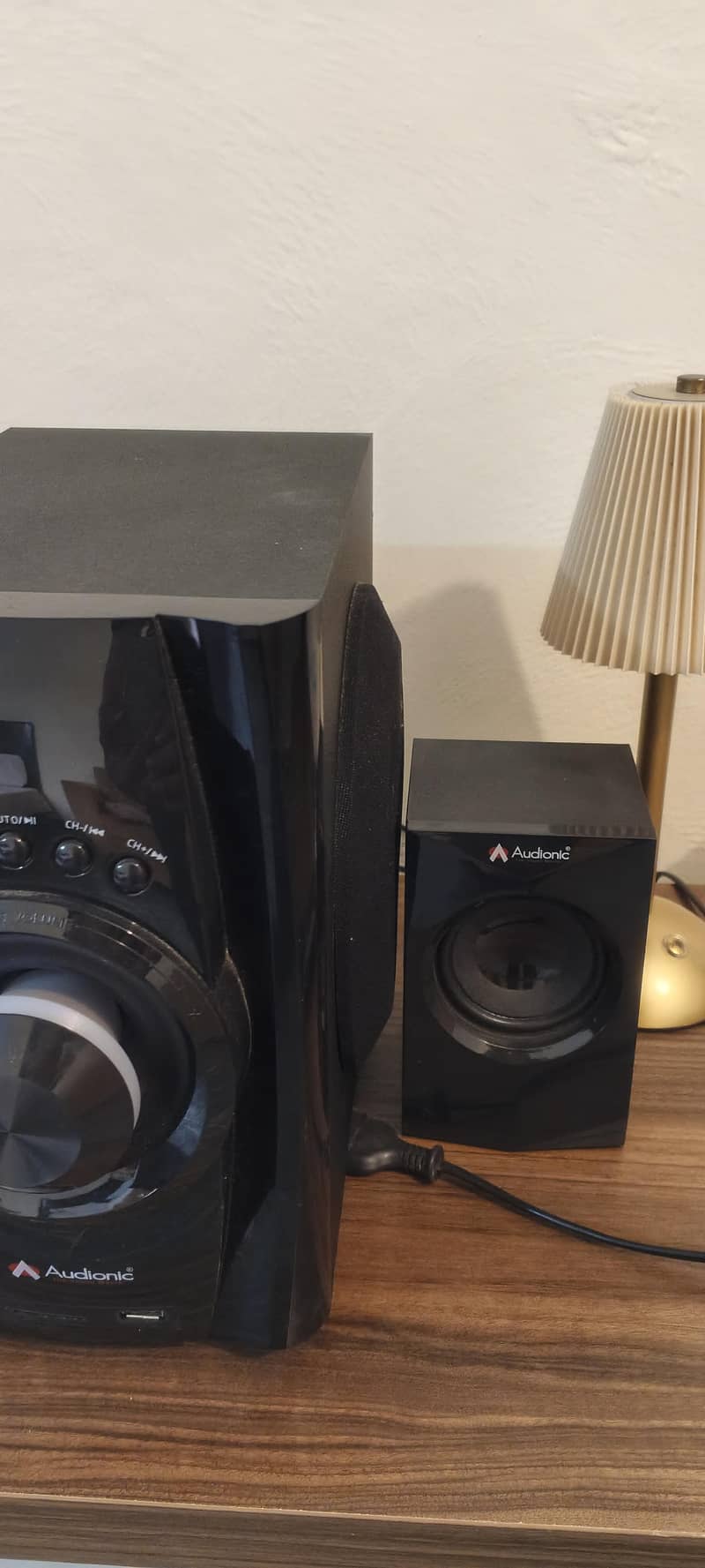 Audionic Mega 40 Speakers 2