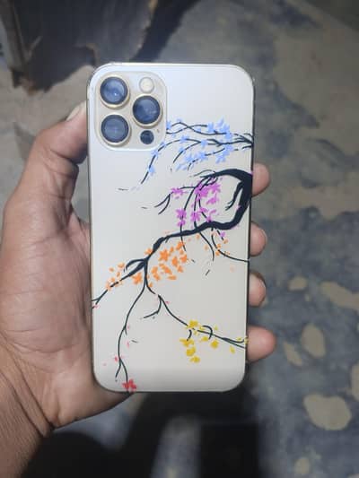Apple iPhone 12 Pro all ok factory unlock