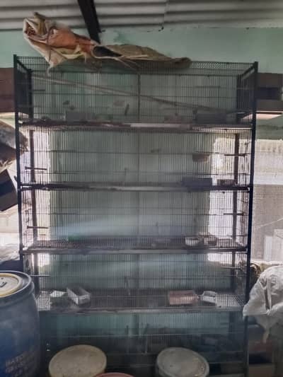 birds cage