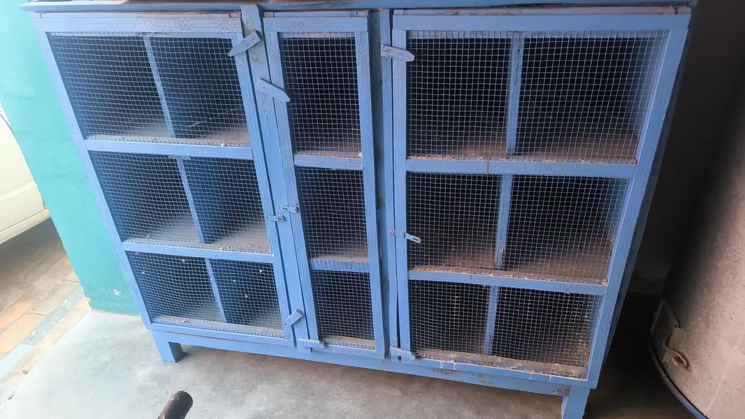 pigeon cage for sale best quality best for breeding and 15 box — photo 3